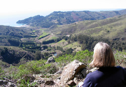 view from Hope cottage